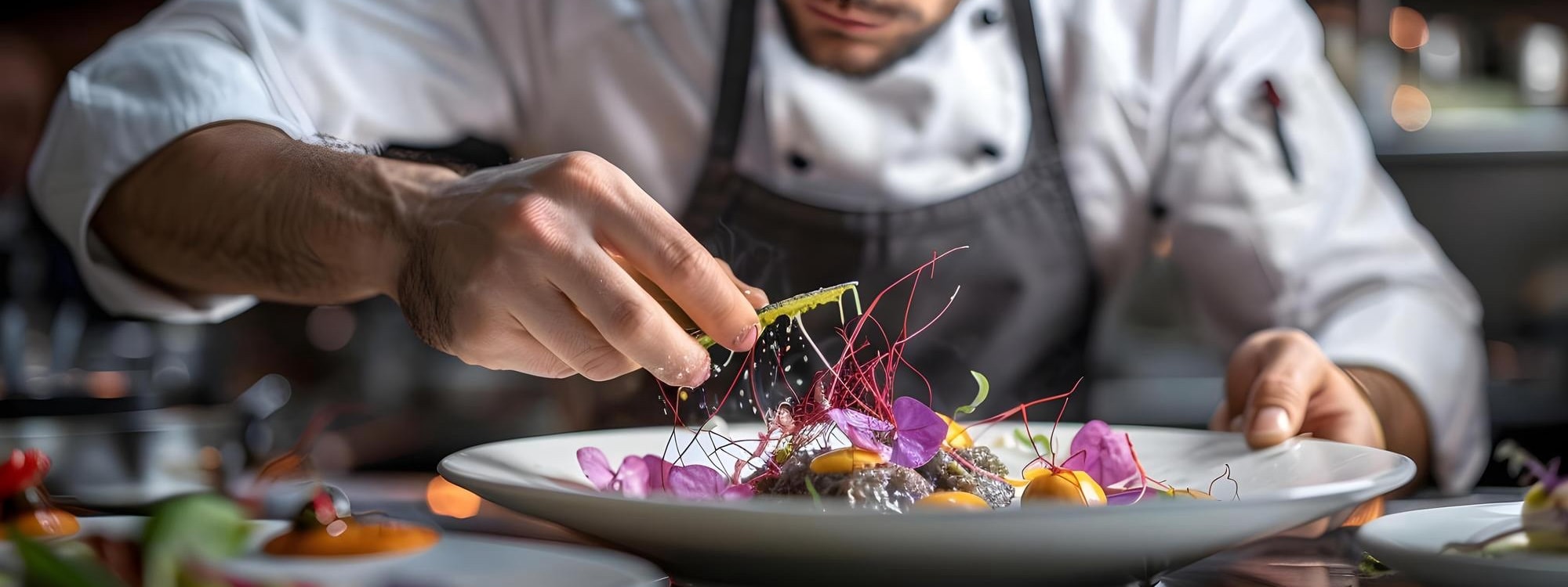 Aurora Template by BLOCS PREMIUM