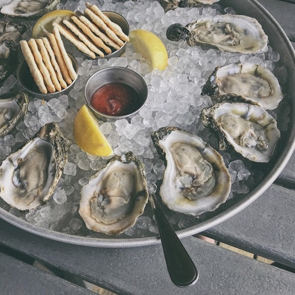 Aurora Template by BLOCS PREMIUM